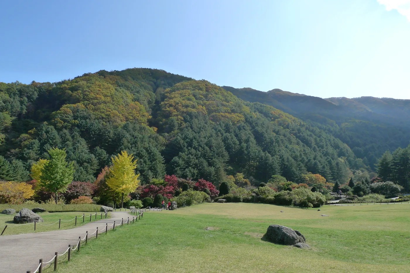 A grassy pathway lined with autumn-colored trees at the Garden of Morning Calm in Gapyeong, Korea