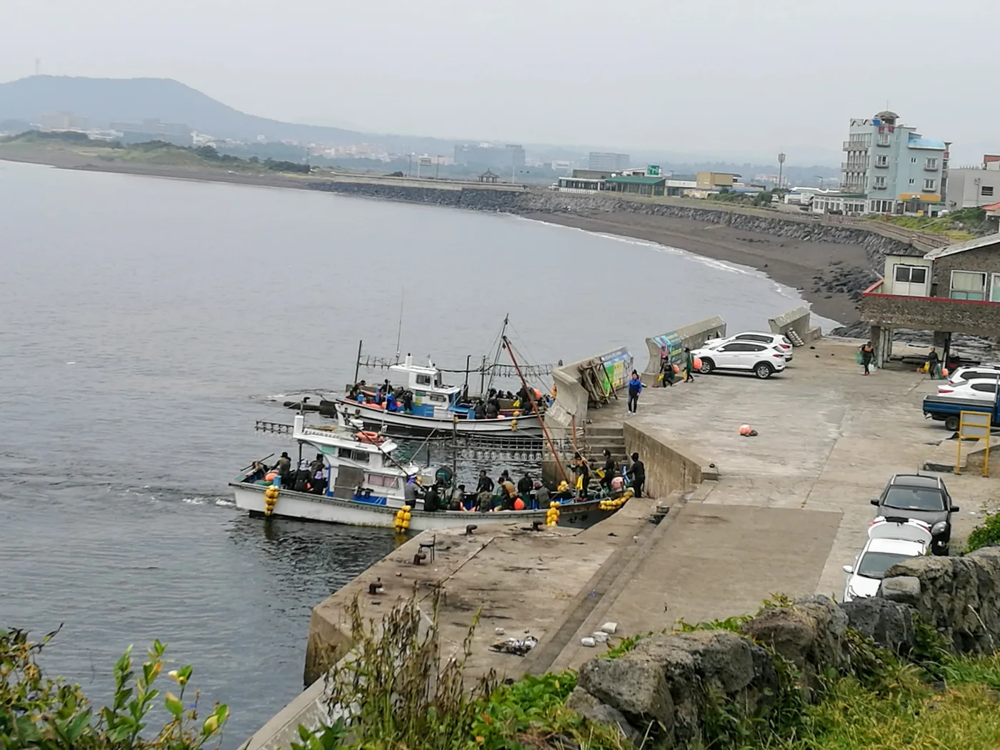 Haenyeo Divers Near Seongsan Jeju haenyeo divers returning to harbor by boat near Seongsan Ilchulbong