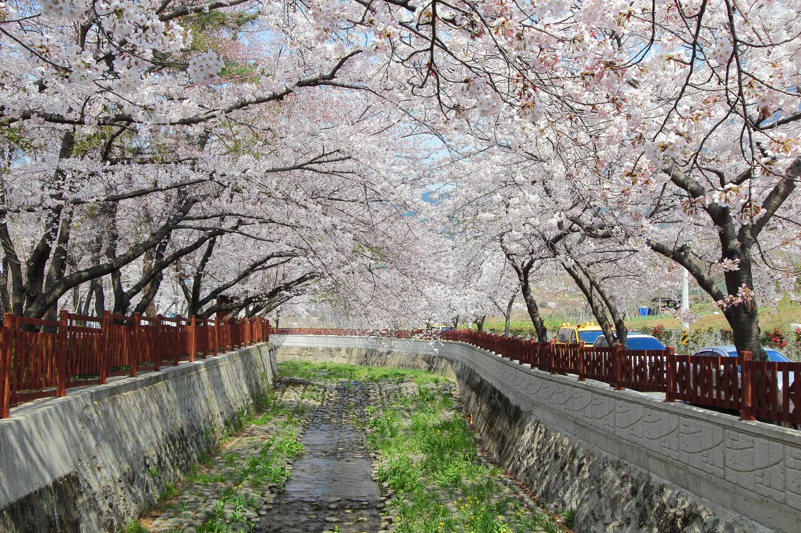 Korea's Festival Calendar: What's Actually Happening Each Season